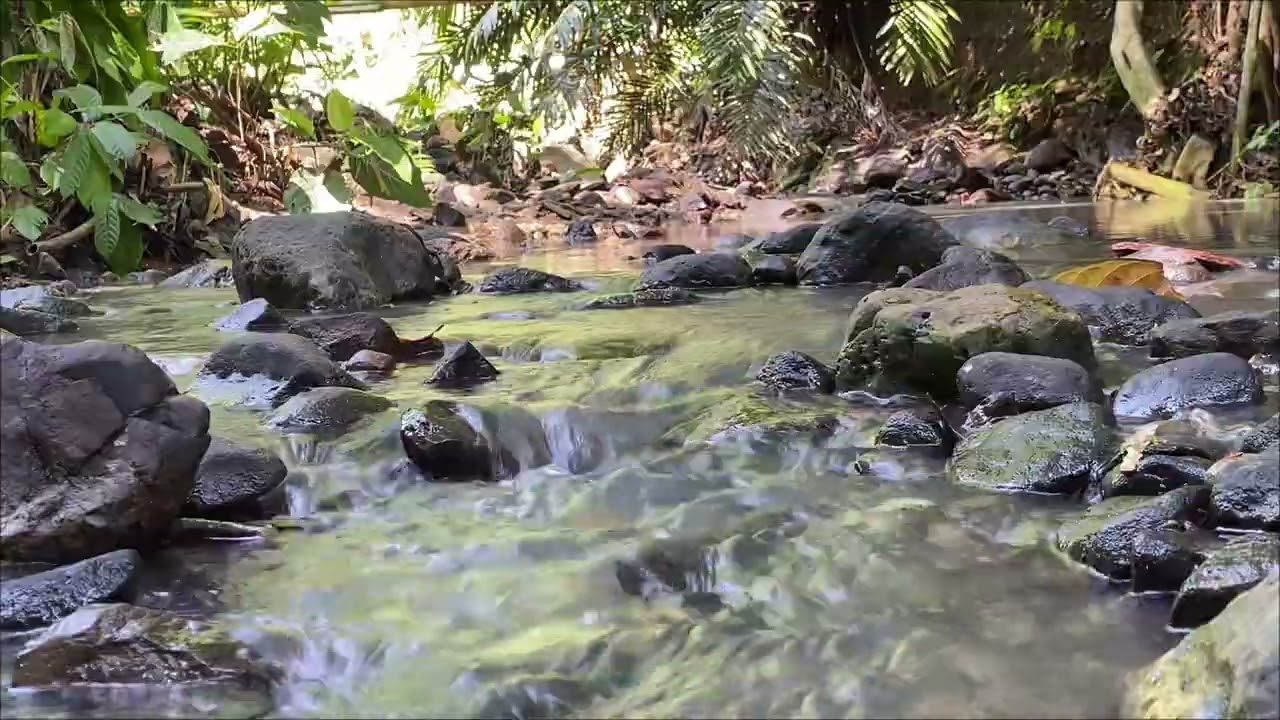 Gentle Water Sounds for Sleep and Relaxation - 1 Hour