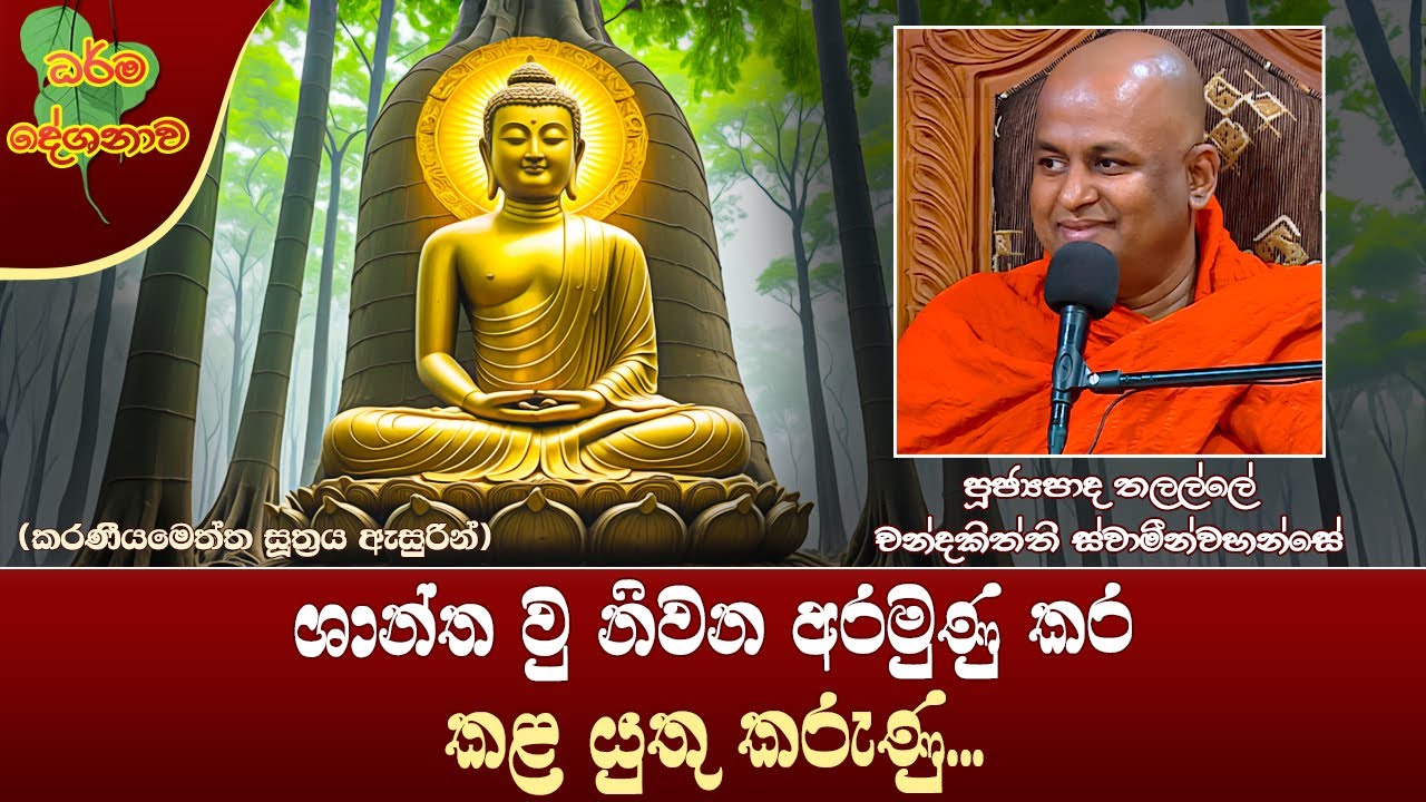 Ven Thalalle Chandakitthi Thero | 2024-09-14 | 12:30 PM (නිවන අරමුණු කර කල යුතු කරුණු...)