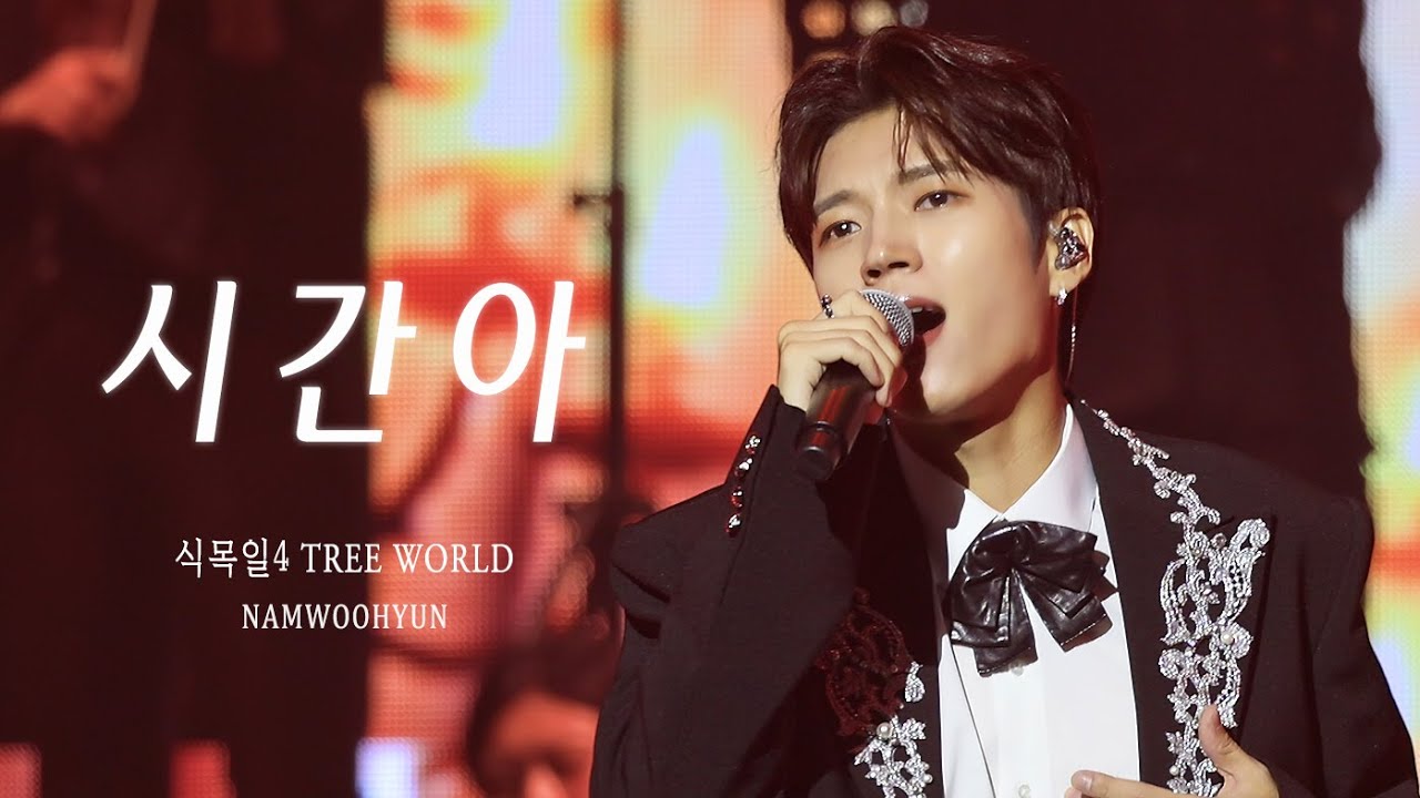 [4K] 240922 식목일4 TREE WORLD Day 2 - '시간아' 남우현 직캠 | WOOHYUN FANCAM