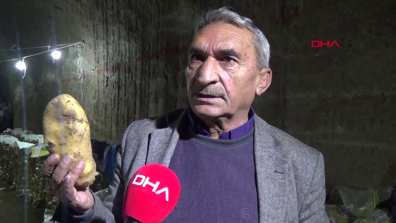Patatesler, doğal soğuk hava deposu mağaralarda saklanıyor