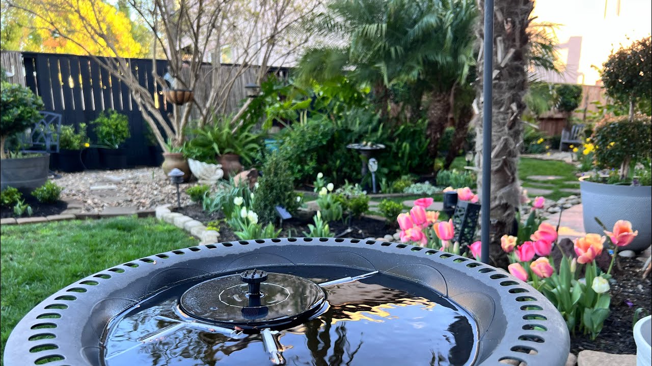 Step Into My March Garden 🌷 | Relaxing Spring Garden Tour & Inspiration