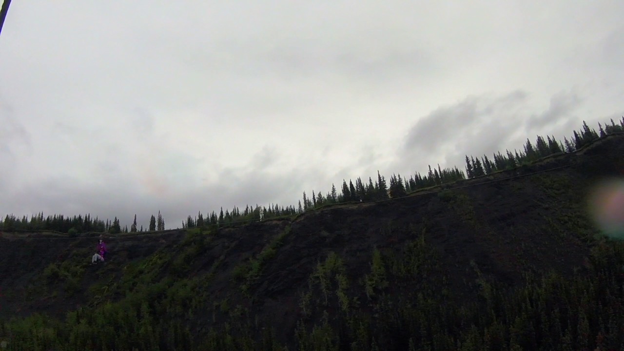 Zipline Race in Alaska