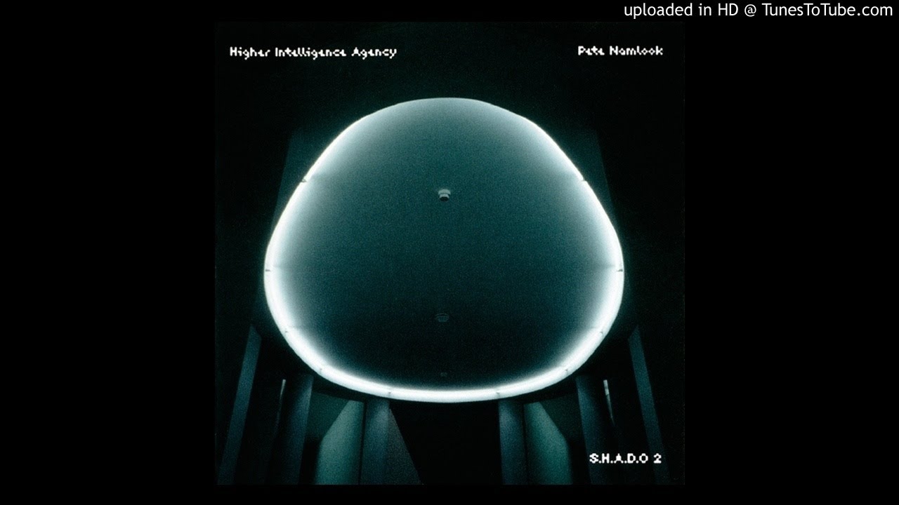 Higher Intelligence Agency & Pete Namlook - Begend