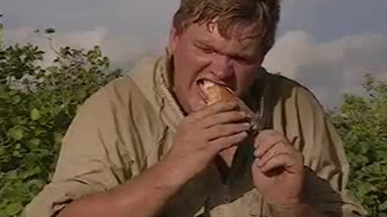 Food on the Mangroves | Ray Mears Extreme Survival | BBC Studios