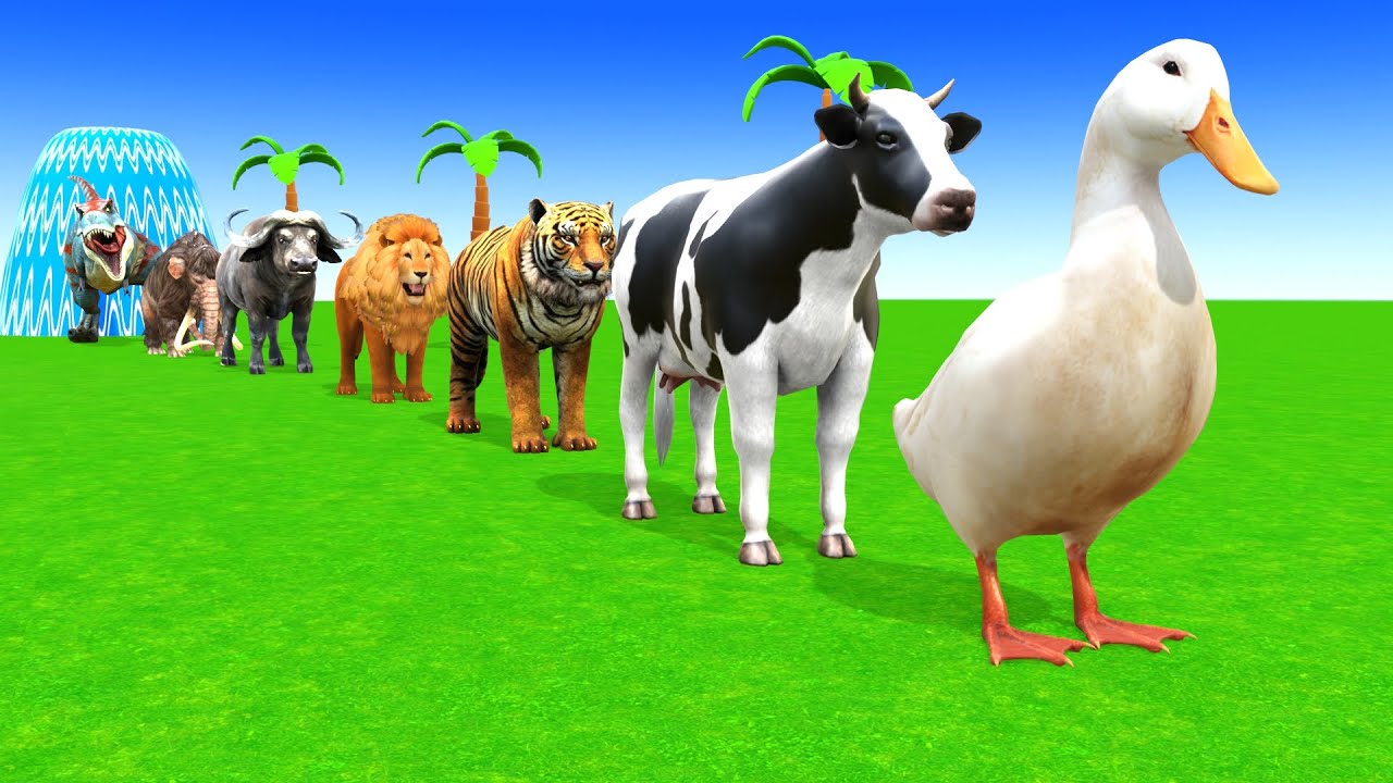 Long Slide Game With Cow Elephant Gorilla Hippopotamus Tiger 3d Animal Game Funny 3d AnimalsVideo