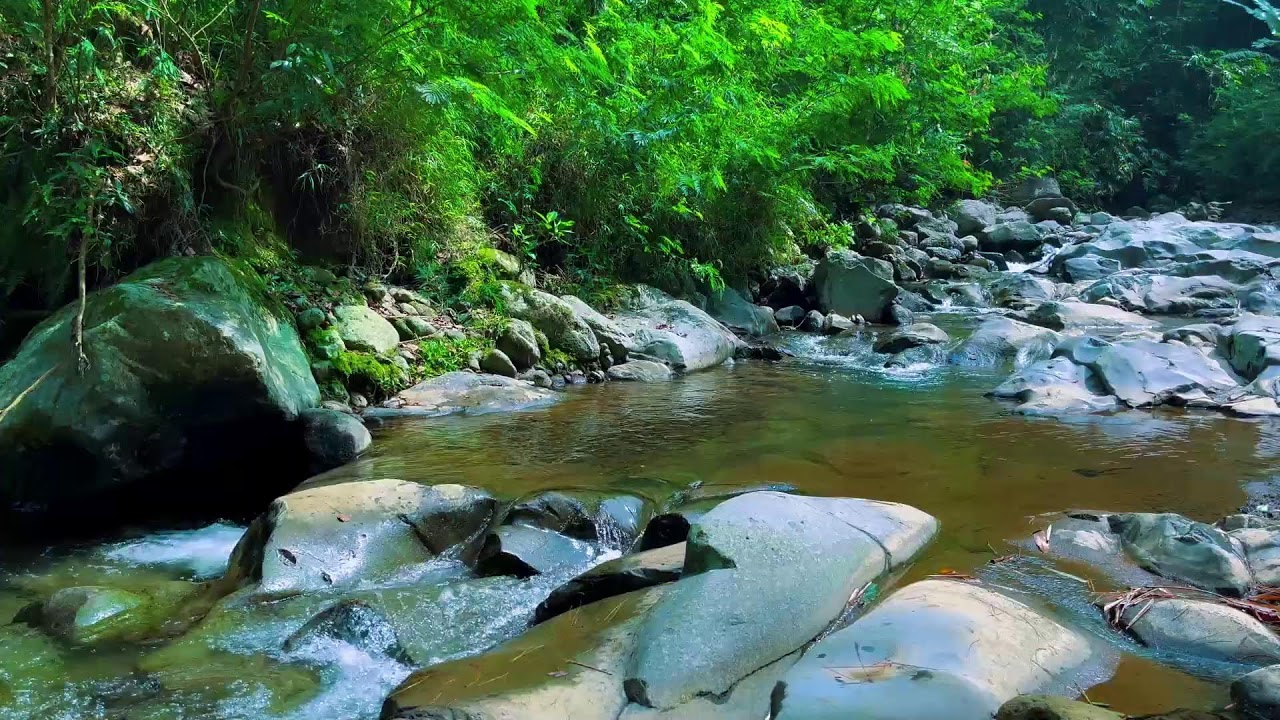 Peaceful River Flowing Sound | Gentle River, Relaxing Nature Sounds | White Noise for Sleep, Study