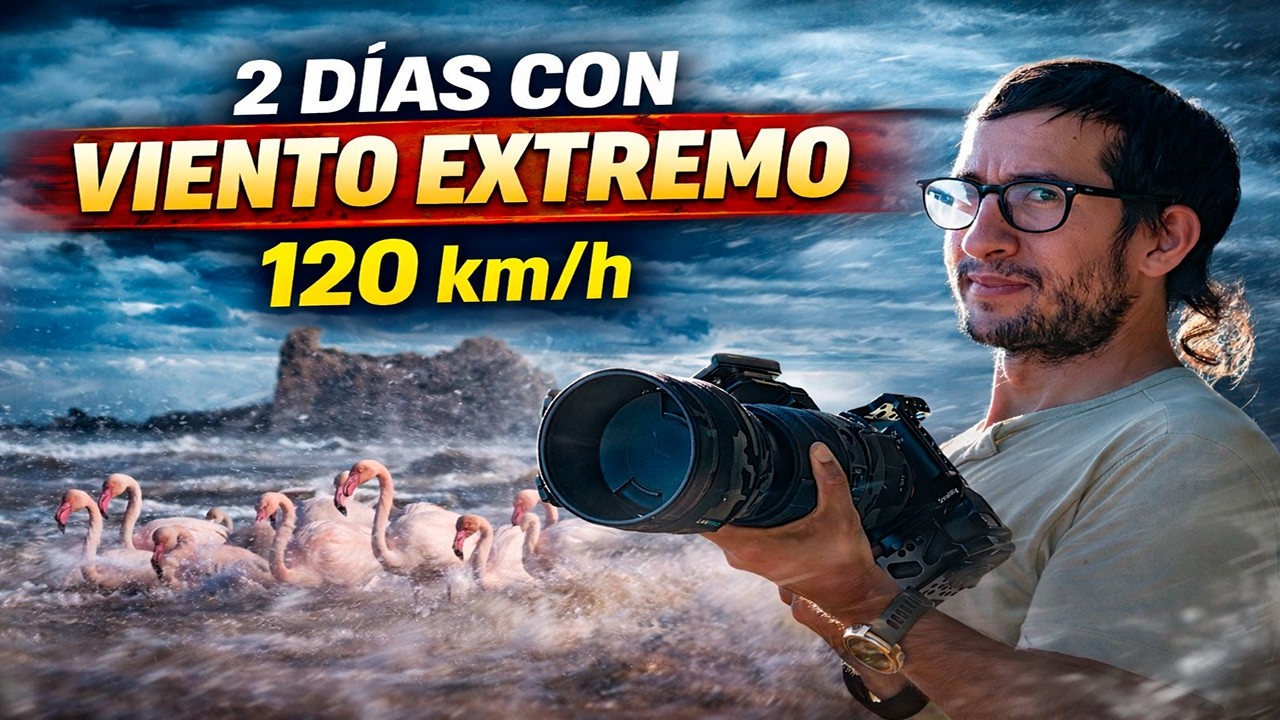 2 DÍAS GRABANDO FAUNA con VIENTO EXTREMO | Delta del Ebro