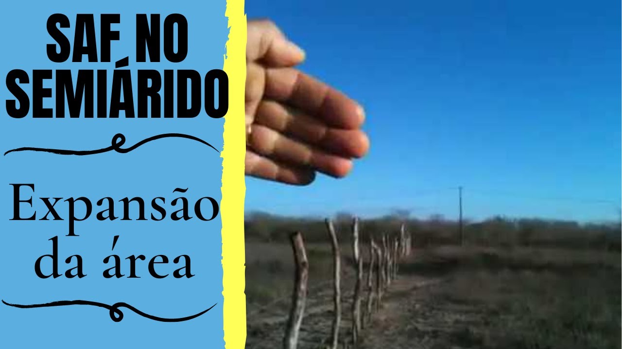 Expansão da área do Sistema/SAF no Semiárido/SAF Santa Fé