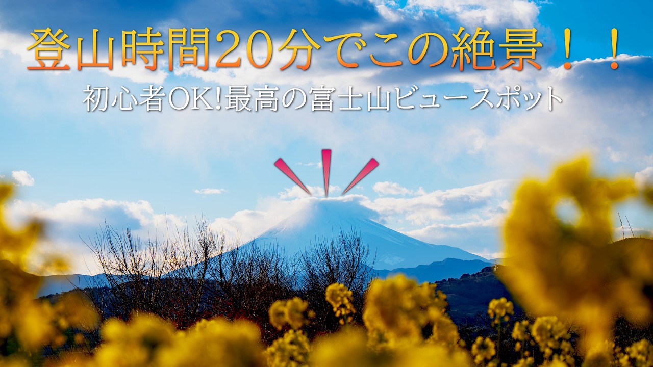 【吾妻山】神奈川県にある富士山が見える山