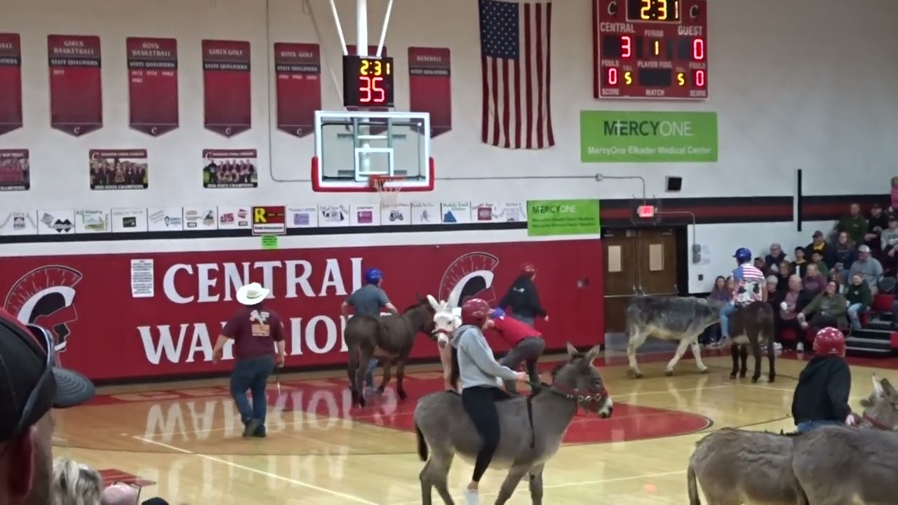 DONKEY BASKETBALL!!