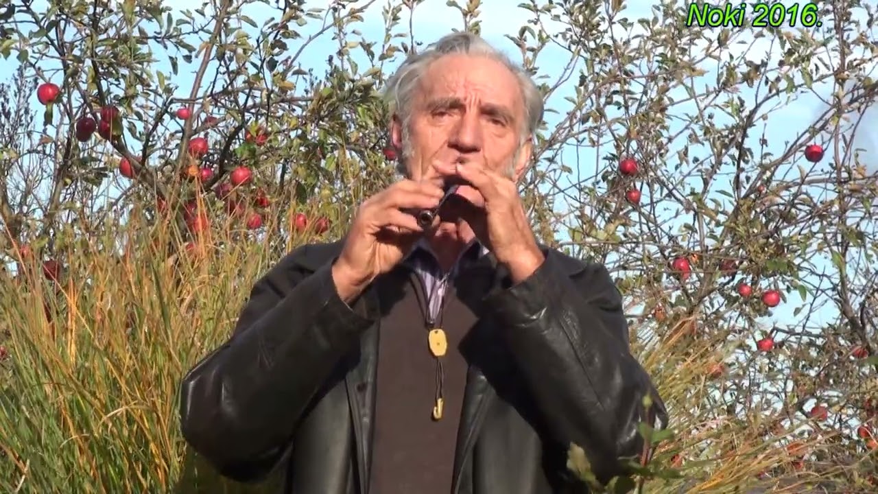 10.Petar Ljeparevic -  Dubocanka kolo YUTUB