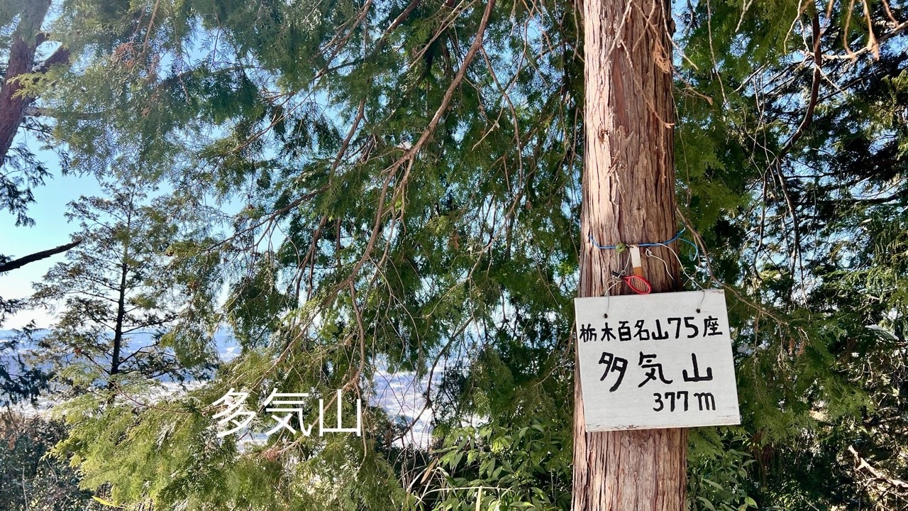 2026 02 09 多気山