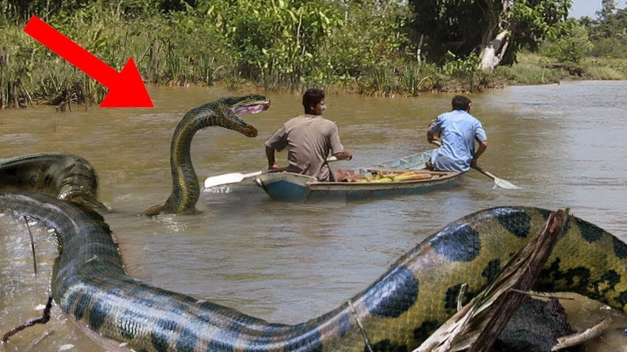 Se isso não tivesse sido filmado, ninguém acreditaria