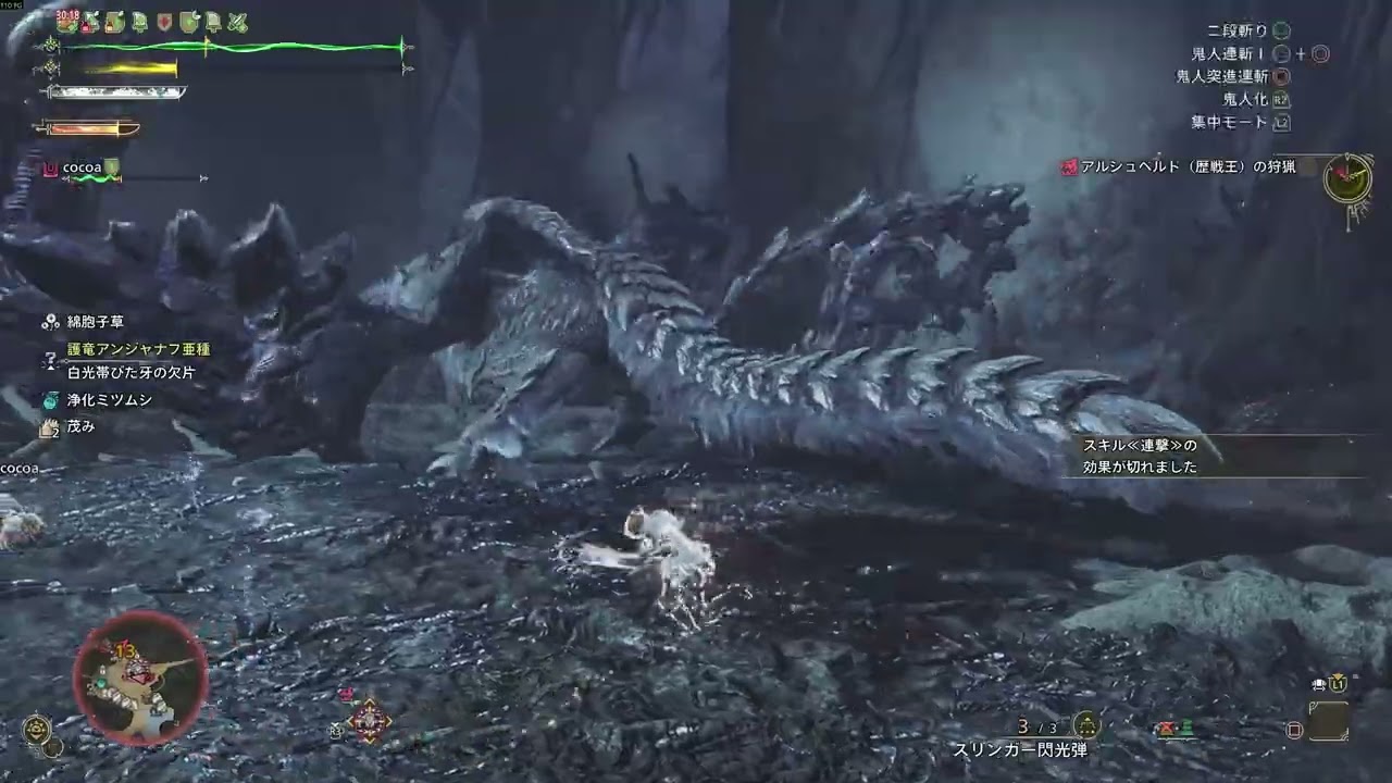 【MHWs】歴戦王アルシュベルド 初見 双剣プレイ