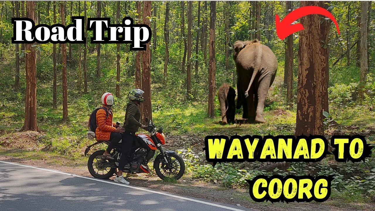 Wayanad to Coorg | Coorg Road Trip | Forest Road | Via Kutta