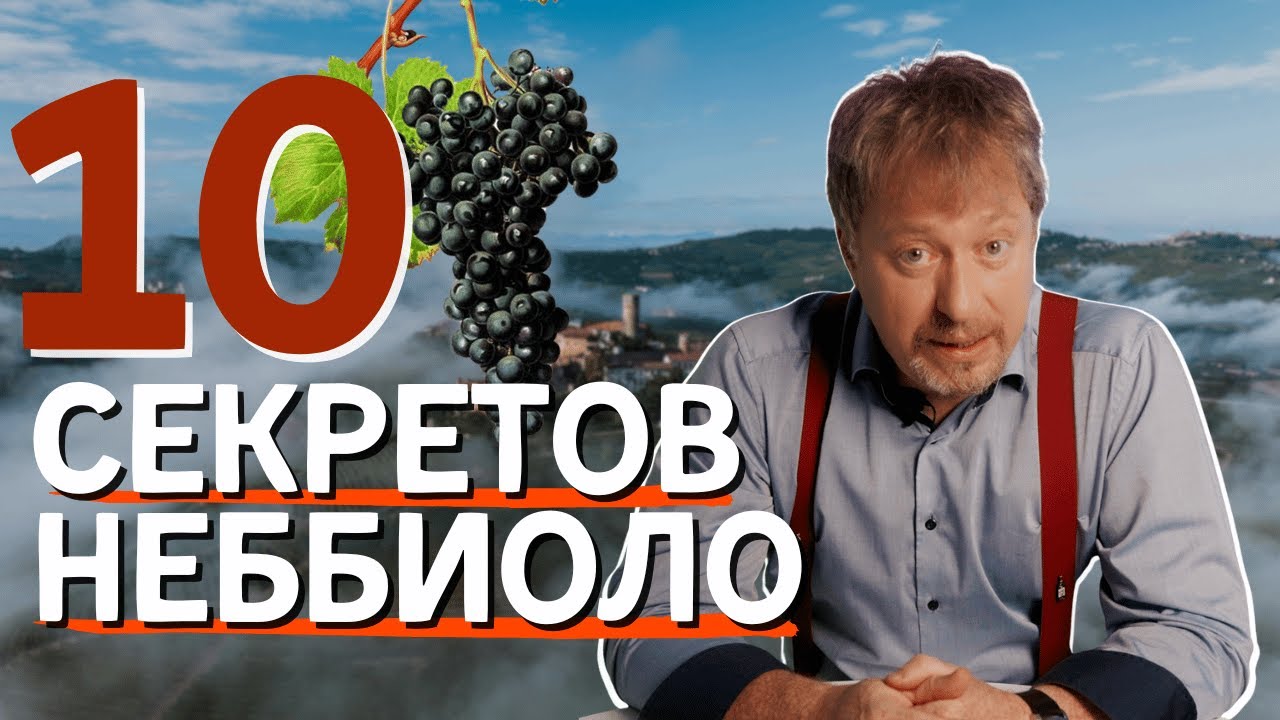 10 секретов сорта винограда [НЕББИОЛО]