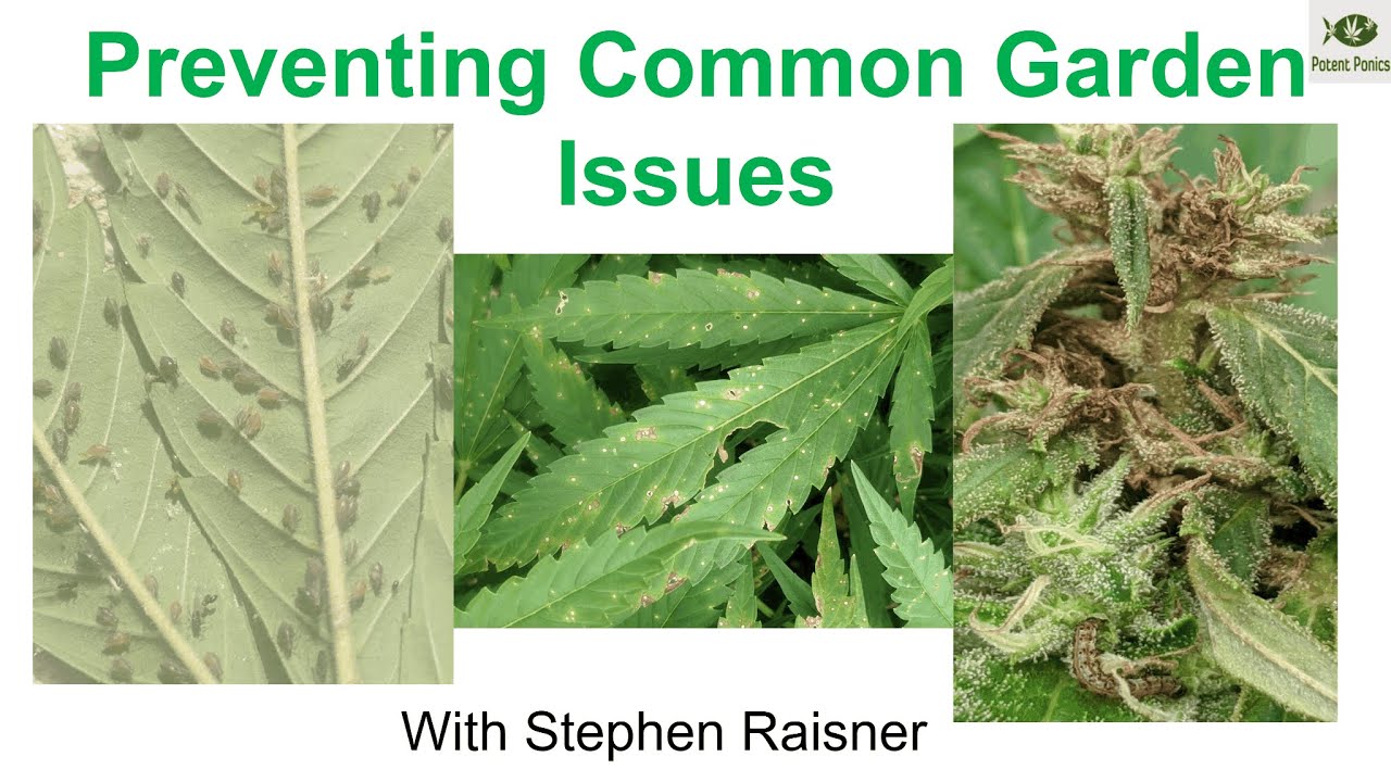 R-Future 2025: Preventing Common Garden Issues