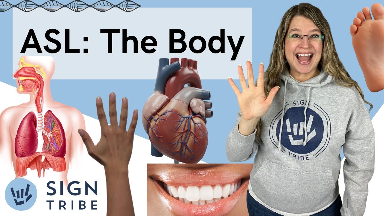 ASL Signs for Body Parts & Organs | Sign Tribe Academy | Dr. Luanne Sailors