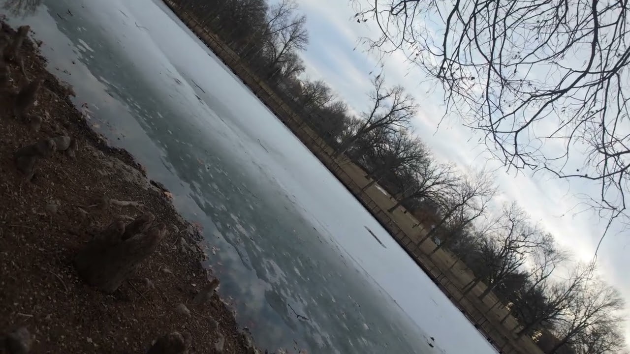 Antioch Park - Spin Test