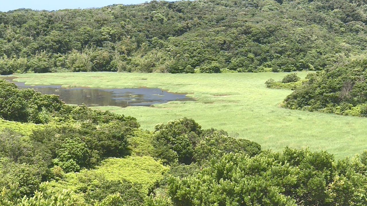 墾丁南仁湖陸化嚴重 最快25年後消失 20180801 公視中晝新聞