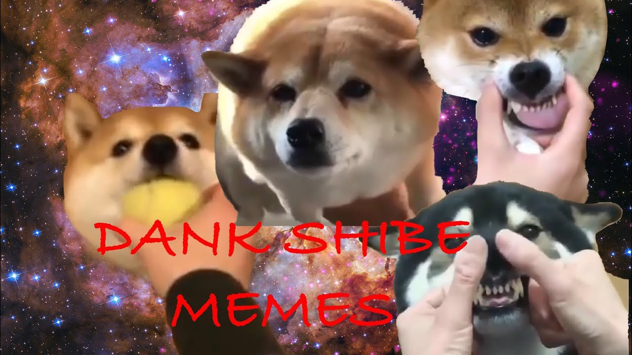 11 MINS OF DANK SHIBE MEMES