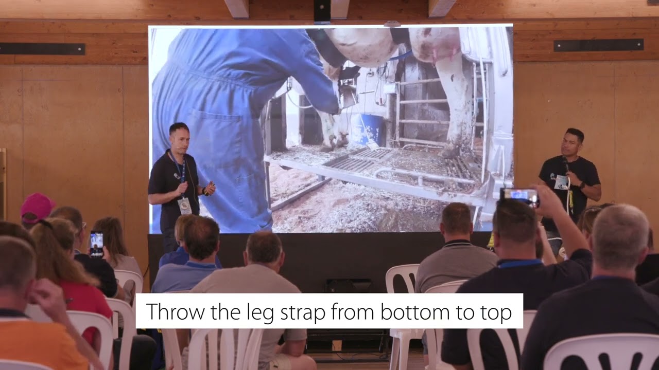 The use of the leg straps with the lasso style