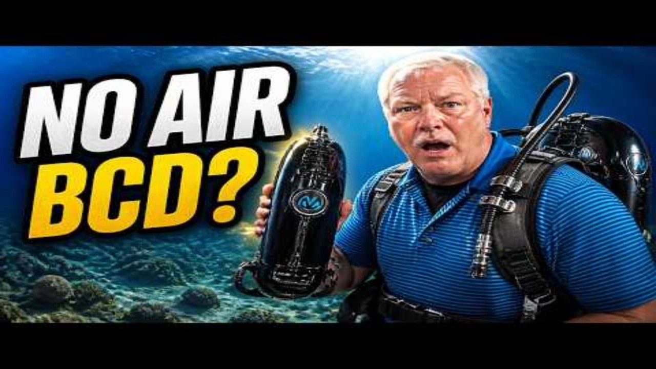 The ‘Weightless Diving’ Tech That Felt Like Sci-F Avelo's Real Deal or Expensive Hype?