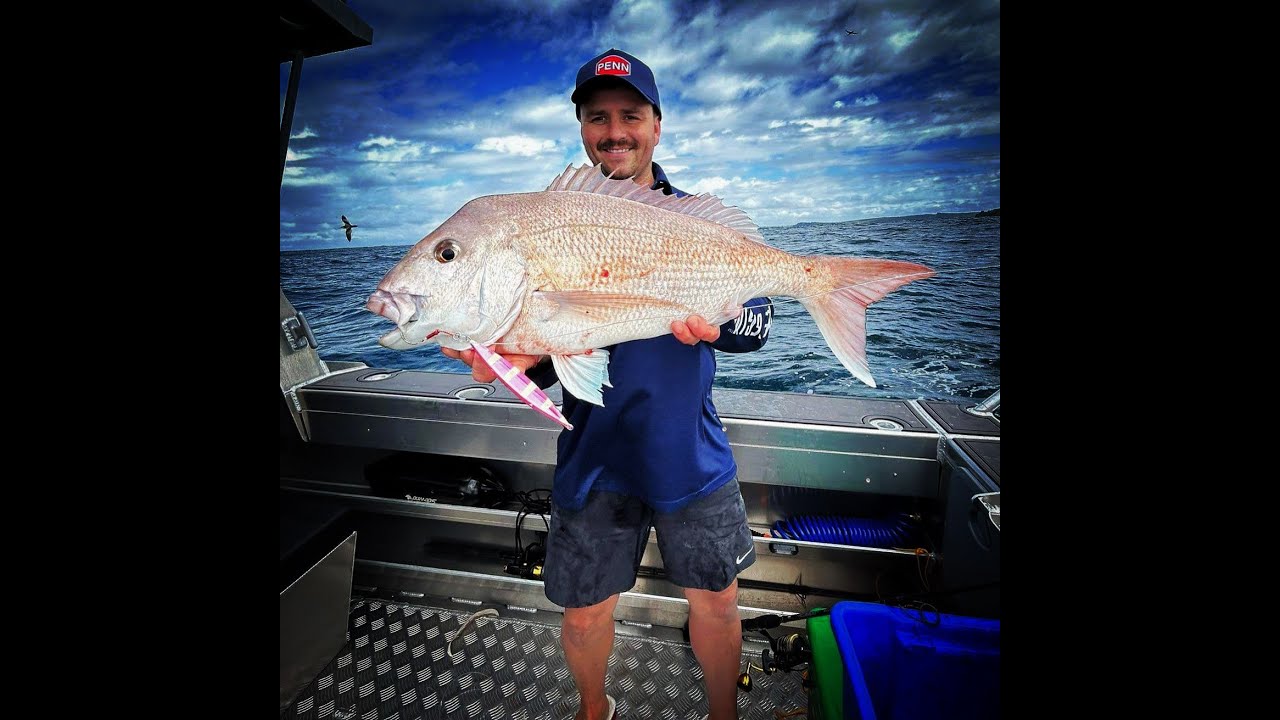 Big snapper lure fishing the Hauraki Gulf