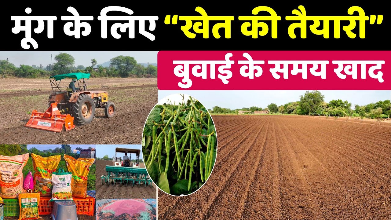 मूंग की खेती - खेत की तैयारी कैसे करें | Moong ki kheti kaise karen🌱Mung ki kheti 2025