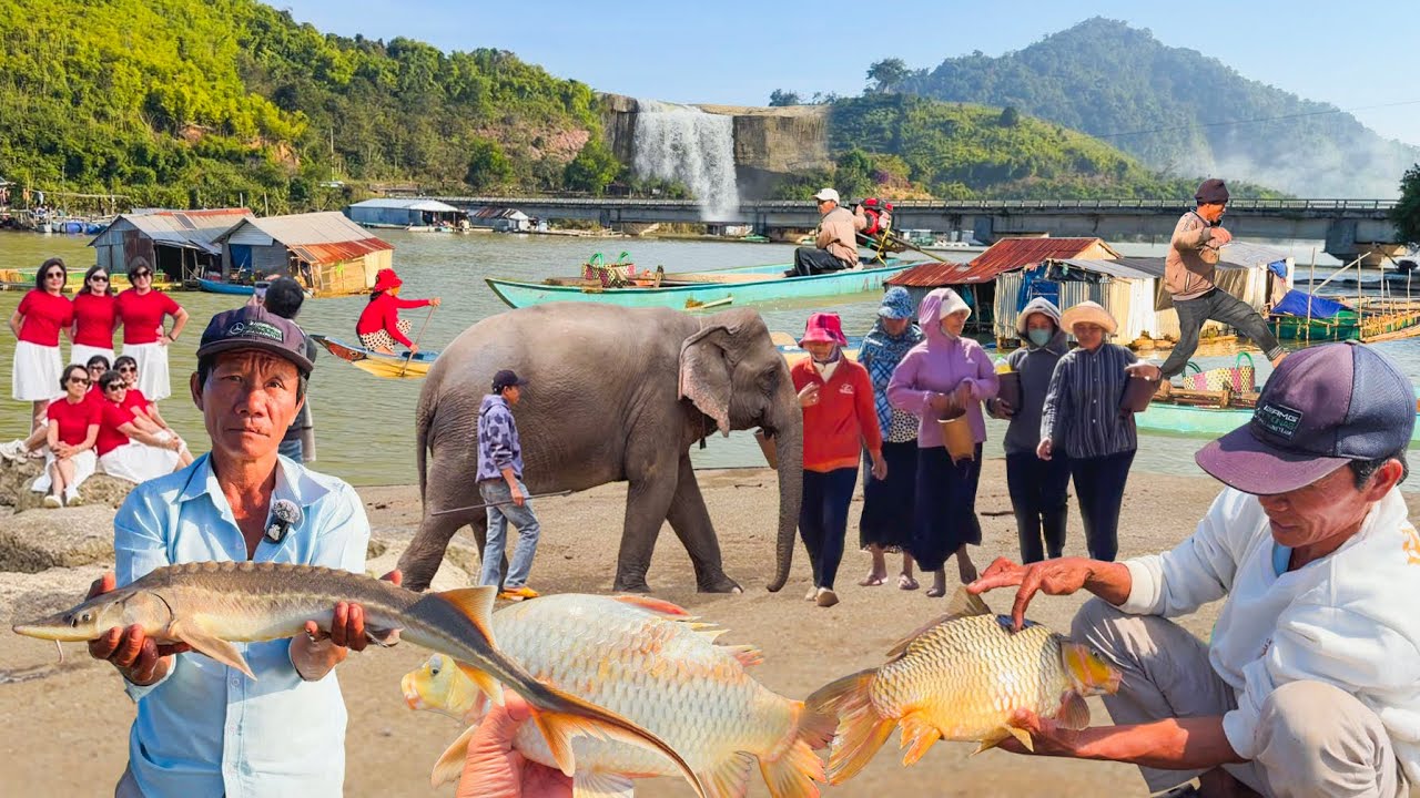 Ngư Dân Đánh Bắt Cá Tầm Trên Hồ Thuỷ Điện║Thành Phố Buôn Ma Thuộc Giữa Lòng Tây Nguyên