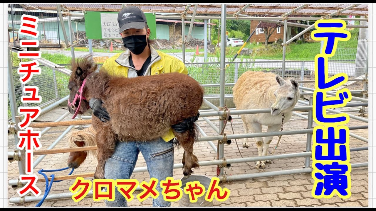 「ウラ撮れちゃいました」の裏撮っちゃいました！