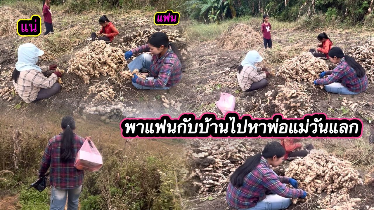 พาแฟนกับบ้านไปหาพ่อแม่วันแลก#เวิลโต๋เด็กดอย 