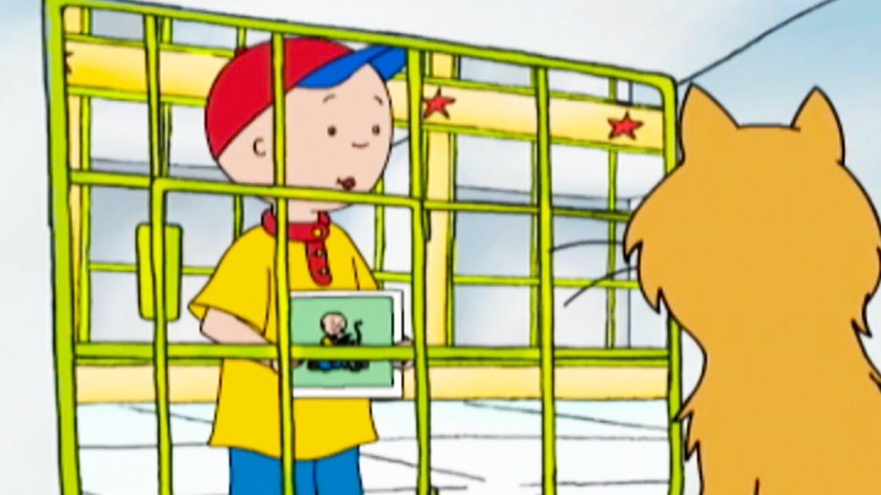 Caillou et le Chat Perdu | Caillou en Français