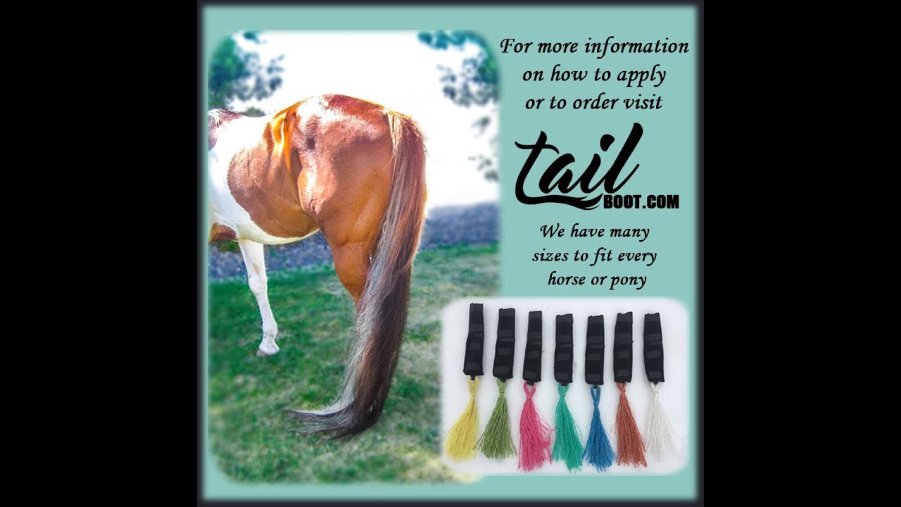 How to quickly measure the tail for a Tail Boot