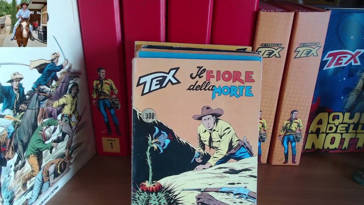 I POSTERS DI TEX