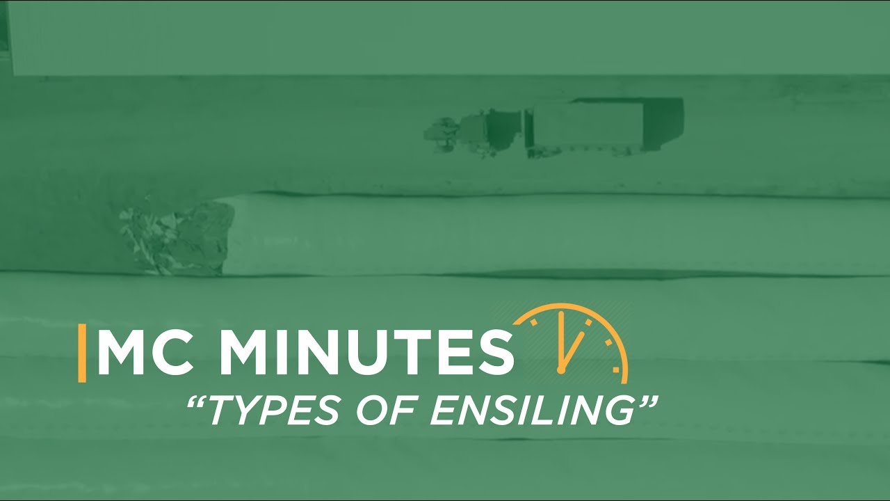 Types of Ensiling | MC Minutes