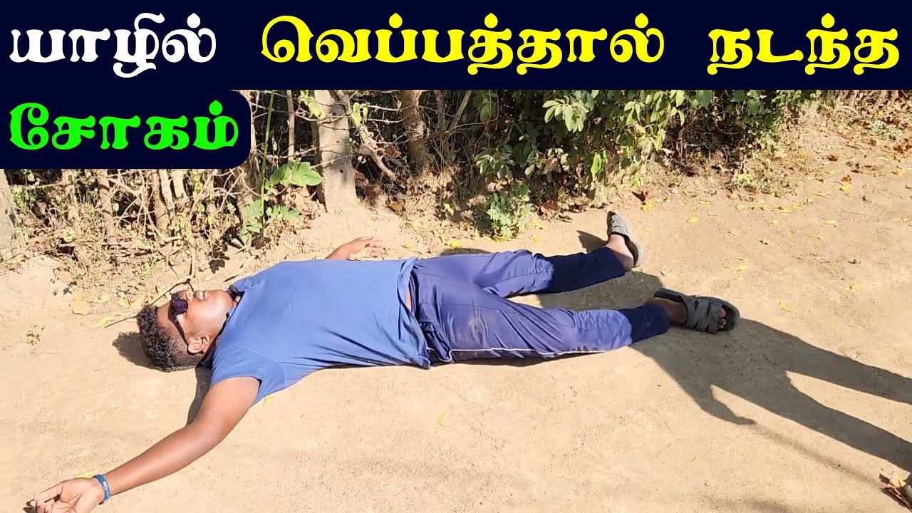 யாழில் திடிர் மழையால் சம்பவம்  /வெயில் காலத்து உருட்டுகள்