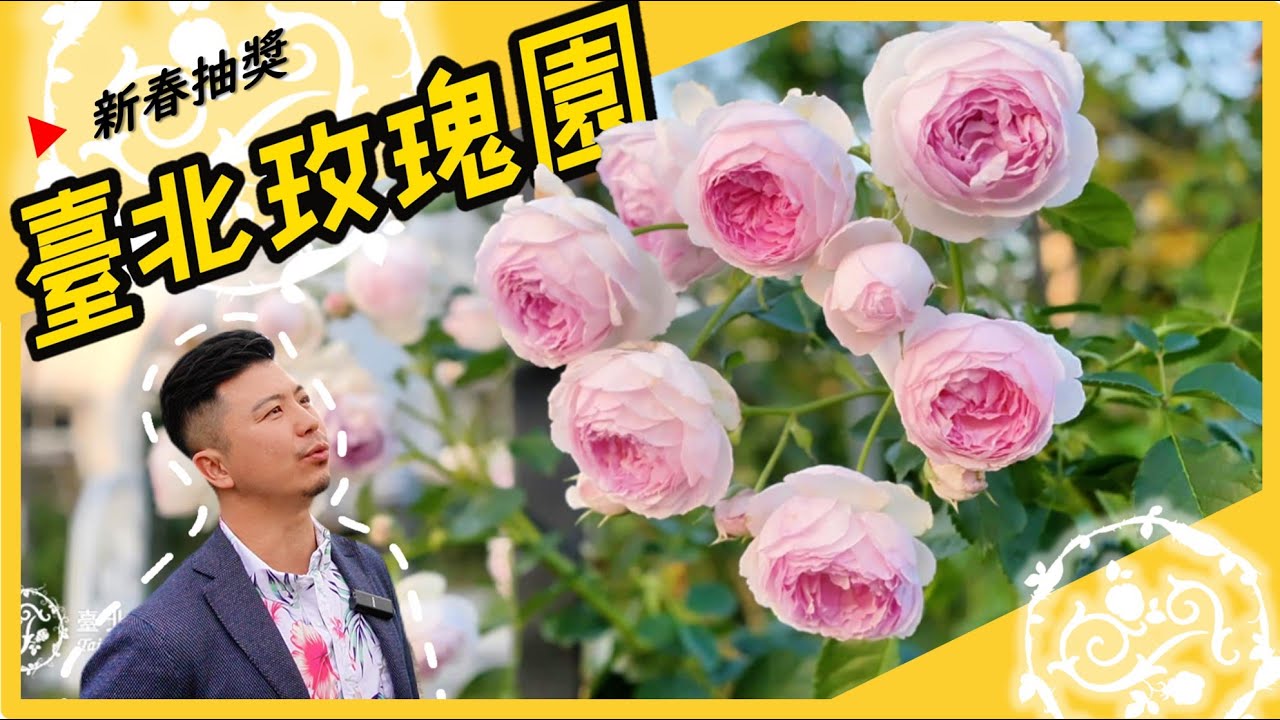 【臺北玫瑰園】3月是北臺灣玫瑰的盛花期，喜歡的朋友塊趁著春天到「臺北玫瑰園」賞花吧，本次臺北玫瑰園合作，有《木村卓功玫瑰花苗》、香皂和擴香瓶的獎品要送給大家，詳情請看下方說明欄。