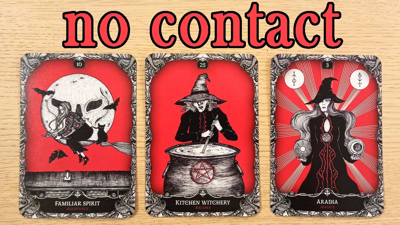 NO CONTACT!  THEIR FEELINGS, THOUGHTS, ACTIONS!  PICK A CARD TIMELESS TAROT READING