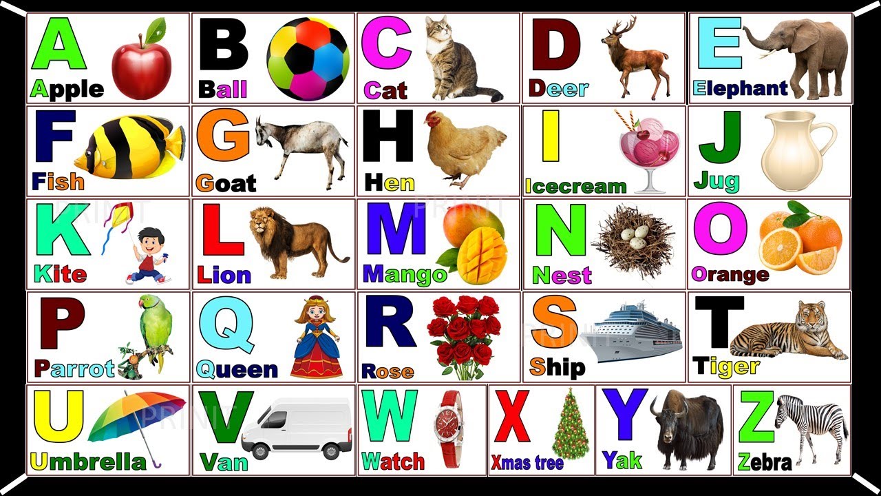 English vowel |a for apple b for ball/English alphabet |Learn Alphabet A to Z | @PRINIT1419​