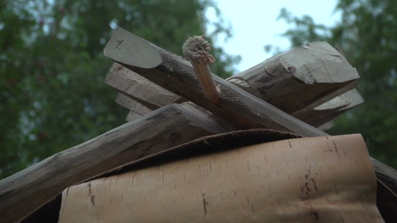 Restoring Birch Bark Roof