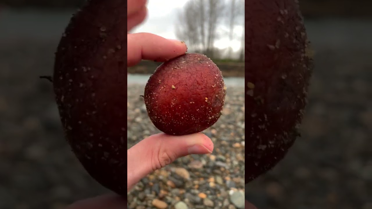Gotta love finding blood red carnelian :)