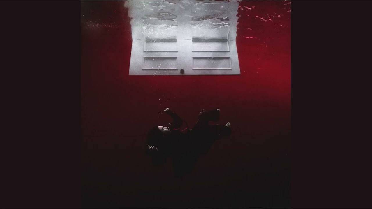 Billie Eilish - WILDFLOWER (DID I CROSS THE LINE?.m4a Extended)