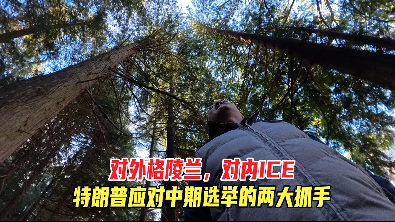 对外格陵兰，对内ICE，特朗普应对中期选举的两大抓手