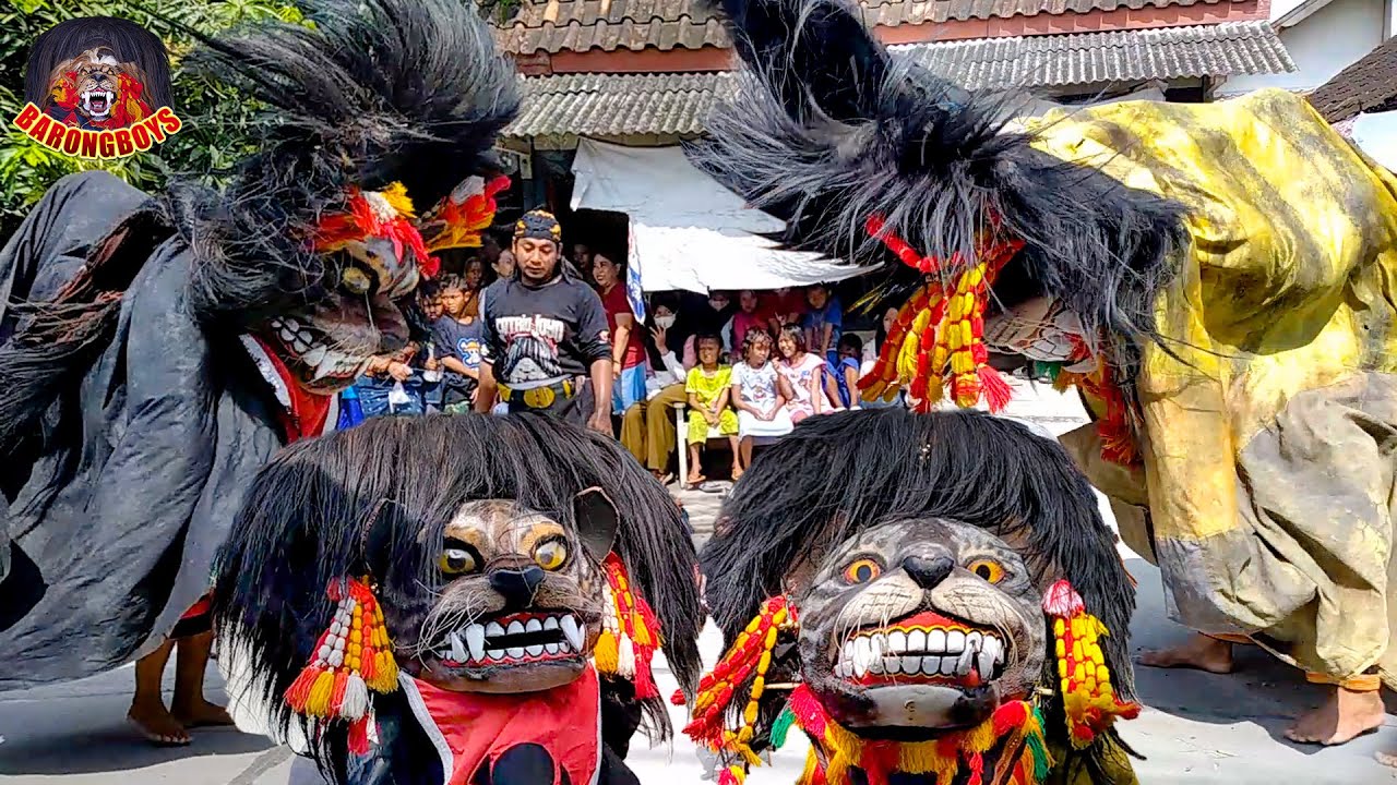 SHOW SPESIAL! Atraksi Barongan Galak, Barongan Kesurupan Ngamuk! | Barongan live Bugel | BarongBoys