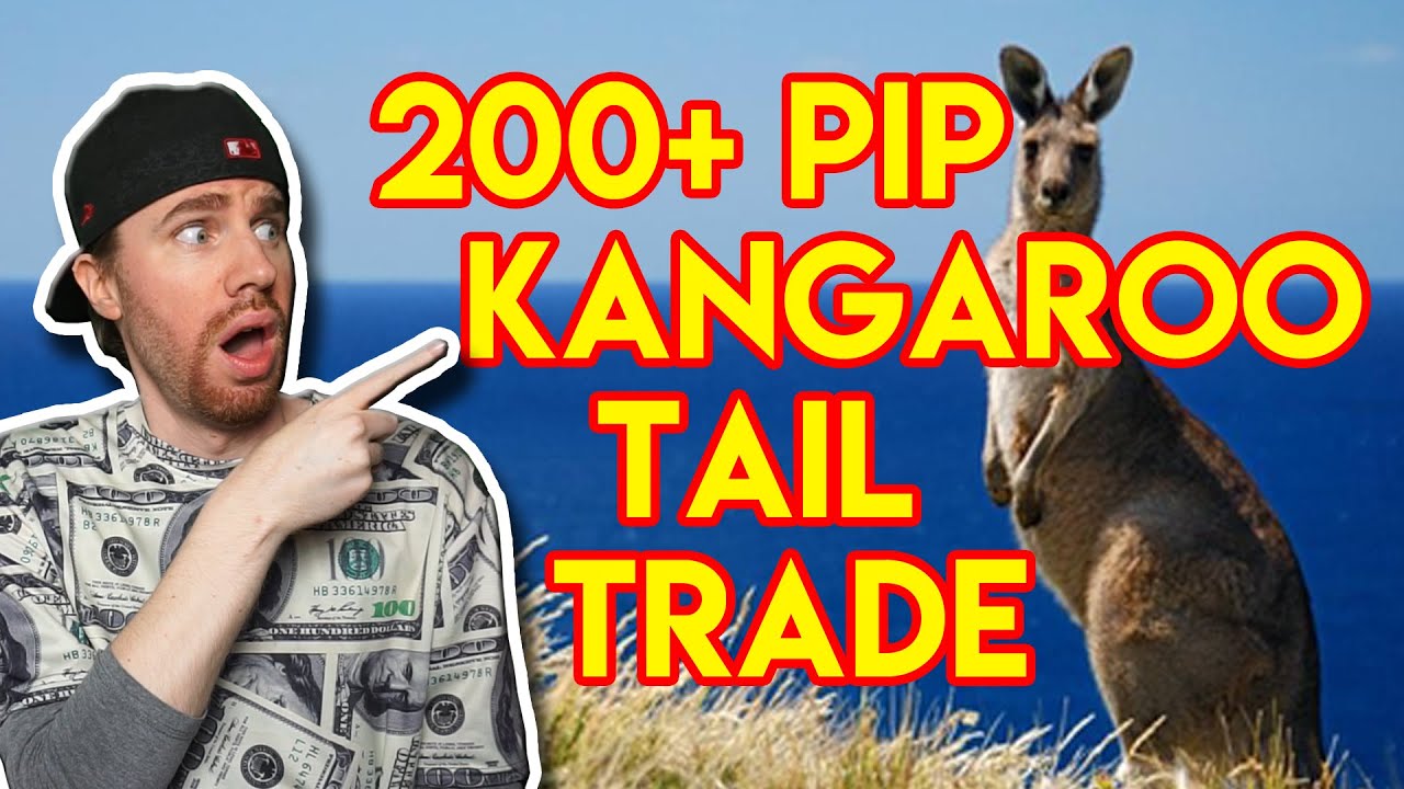 Kangaroo Tail Trading Strategy | How to Bag 200 Pips