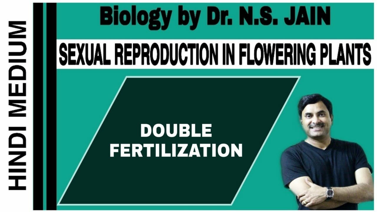 Double Fertilization (Sexual Reproduction in Flowering Plants) |  Hindi Medium