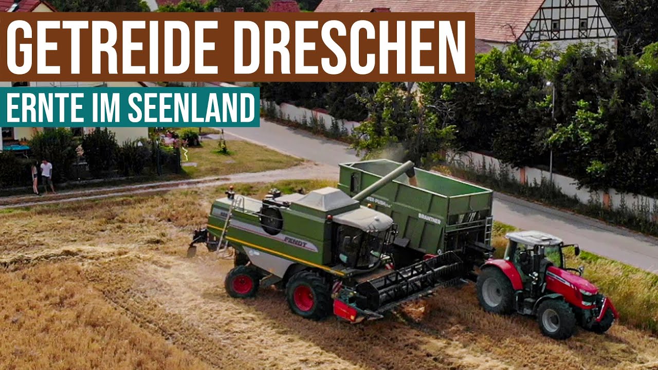 Getreideernte 2020 | Fendt 5250E | MF | Case | IHC | #Harvest2020