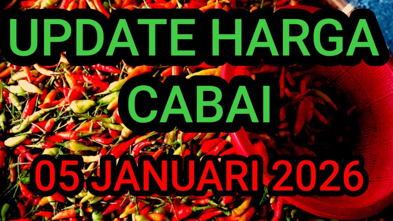 Update harga cabe rawit hari ini 5 Januari 2026 di pasar induk pare kediri jawa timur 