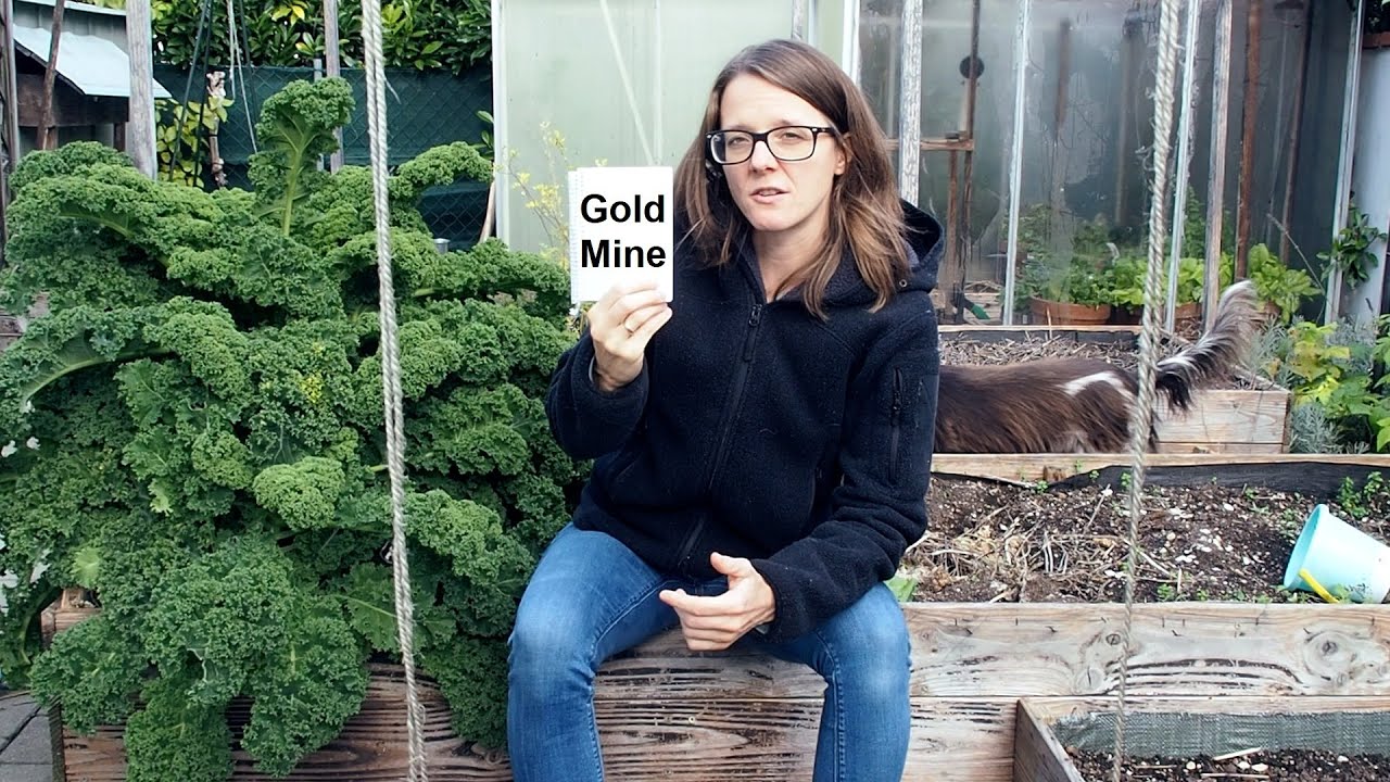 Turning my home garden into a GOLD MINE!